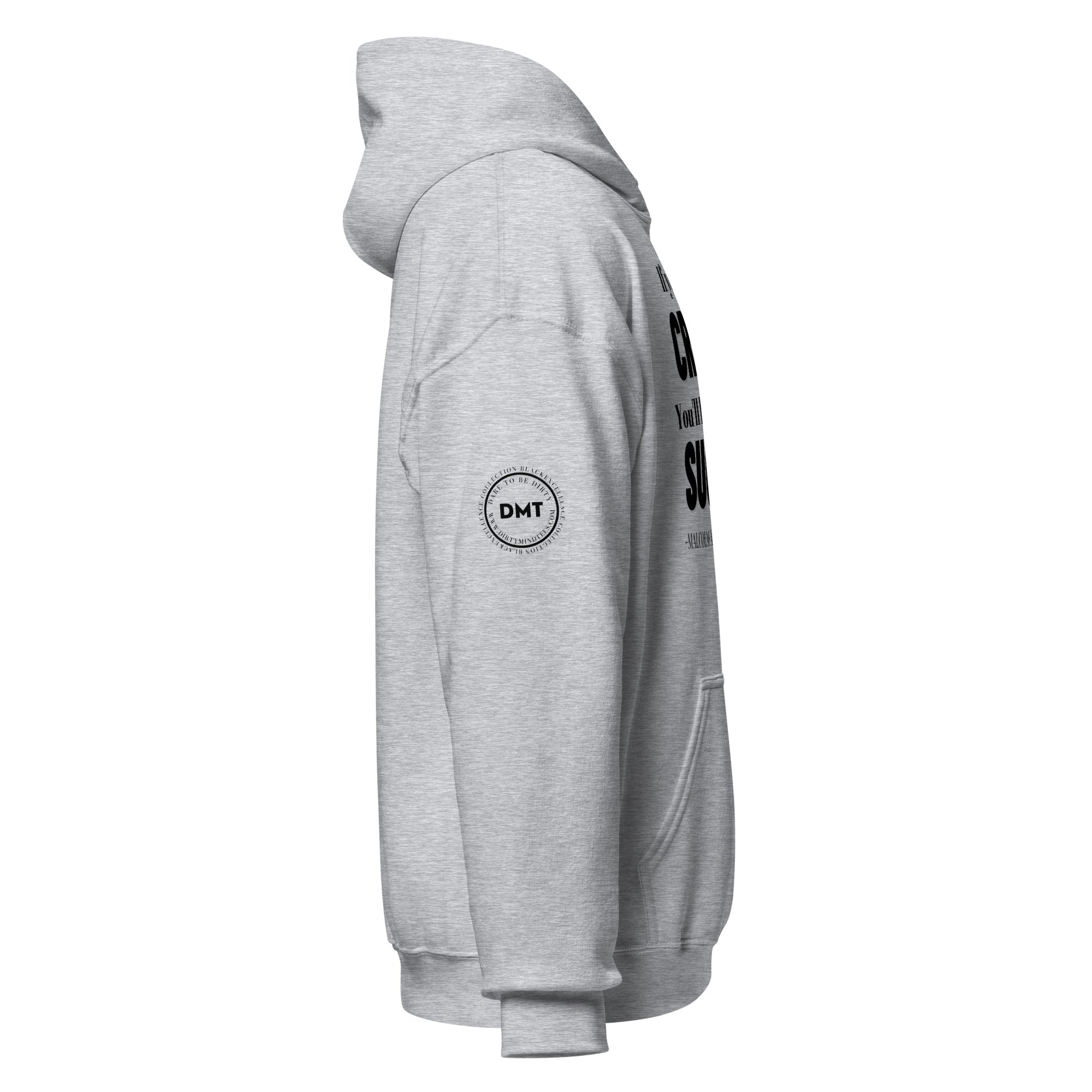 No Critics Unisex Hoodie
